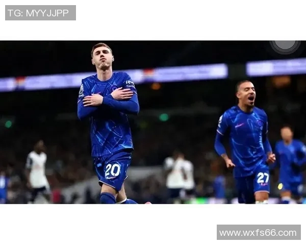 切尔西与本菲卡激战正酣现场观众人数达到25929人